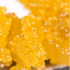 Champaya #5 | Crumble