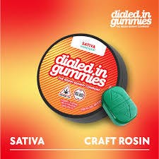 Dialed In - Classic Rosin Gummies 100mg - Honeydew