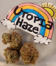 Utopia Haze- Sativa