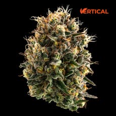 VERTICAL - CHEDDAR CHEESE 14G I/S