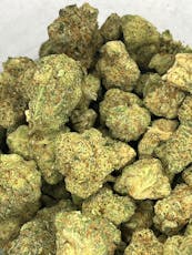 Gold Shelf - Apricot Scone (H)
