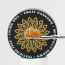 Amaze: Live Rosin Concentrate | Triple Burger | Rosin | 1g