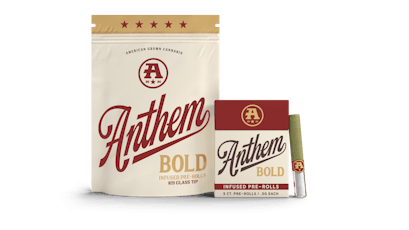 Bold Glass Tip Infused Acapulco Gold Pre-Roll Pack 2.5g (0.5g ea | 5-Pack)