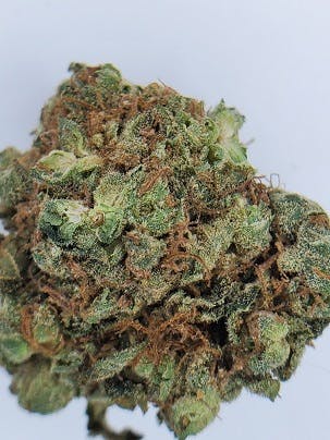 White widow