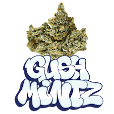3.5G Gush Mintz