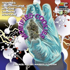 Certified Cultivators - Modified Cookies SSU Flower Pre-Roll - 1g
