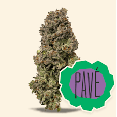 Pave - 14g - District Cannabis