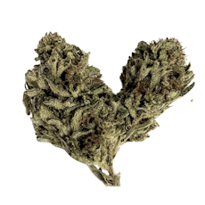 Sunday Schooled | Flower Bar