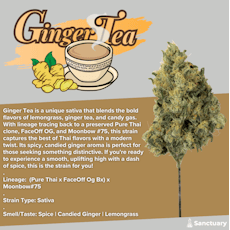 Sanctuary - Ginger Tea - Flower - 28g