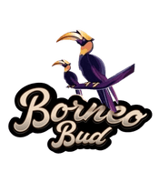 SFV x TK OG Kush | Flower 3.5g