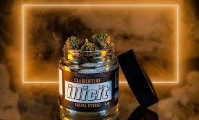 Illicit Clementine 3.5g