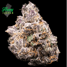 Happy Farmer - Boston Runtz - 3.5g