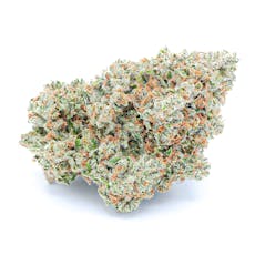 THEORYb - Poochies Papaya