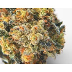 Sacci - Flower - Hazmat (S) - 3.5g