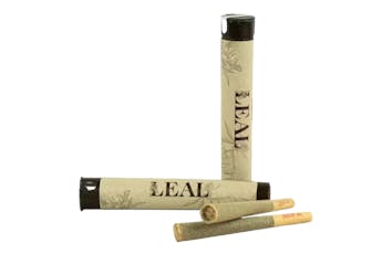 Leal | Caramel Cream | Preroll | 1g