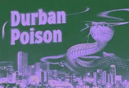 Hyphen - Durban Poison - 1g