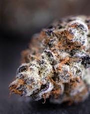 Pure Michigan 7 grams
