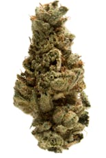 Pre Roll: Grape Gas Gelatti 6 pack l Sativa