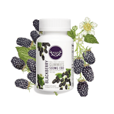 Blackberry CBD Gummies 20pc | 500mg