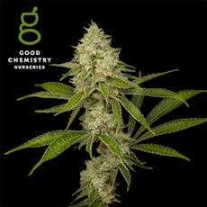 Good Chem - Flower 3.5g Sativa; Orange Strollo