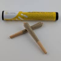 Sol-Canna Pre-Roll Platinum Lemon Cherry Gelato (H) .5g 2pk