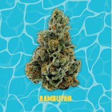 Rambutan (14g)