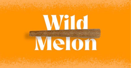 Doinks - Wild Melon - Infused Blunt 1pk (1g)