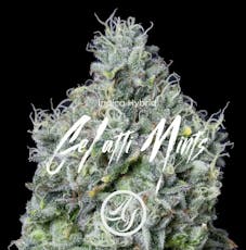 AltSol | Gelatti Mints | Pre-Packaged 3.5g