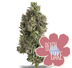 Beach Cake #4 | 7G