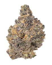 Planet Sherb | 3.5g Bag | High Altitude