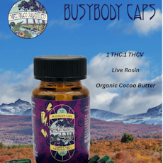 Busy Body THC/THCv Hash Capsules 20pk