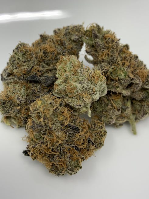 60M - Tropic Thunder BULK