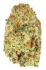 Bonsai | Blue Limon | I