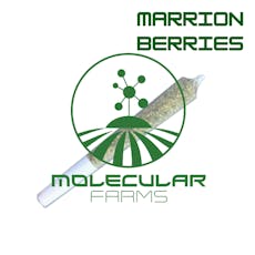 Marrion Berries: Pre-Roll (0.7g) - Molecular Farms