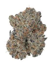 GovernmentOasis-Flower-|Hyrbid|ITT|3.5g