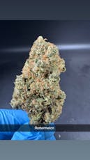 Rottermelon - Flower - Hybrid