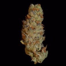 Moroccan Peaches - 3.5g Exclusive Shelf Flower