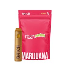 Batch | All-In-One Vape | Strawmelon 1g