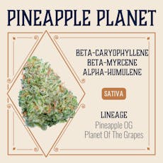 ELEVATE - PREPACK - 3.5G - PINEAPPLE PLANET - SATIVA