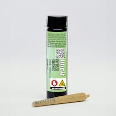 Banana Pie Infused 1g