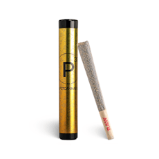 Ocean Water Pre-Roll