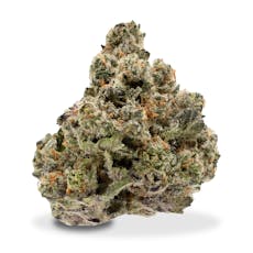 Humble Beeginnings - Tree Flip