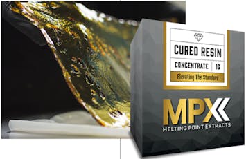 Cured Zodashi Shatter 1g