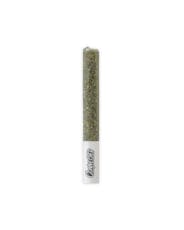 BISCOTTI | Single