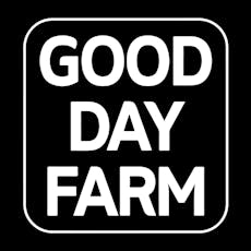 GOOD DAY FARM | BIG AF STRAWBERY PINEAPPLE HIGH DOSE | GUMMY | 500MG | HYBRID