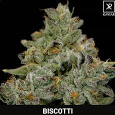 Connoisseur Shelf Kaviar Animal Kush Mintz (S) 3.5g