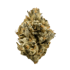 Buoyant Bob | Wounded Warrior Breath 28g