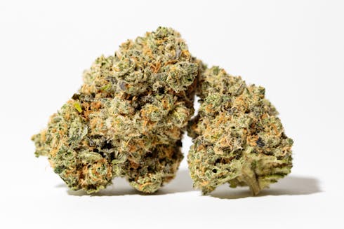 Blueberry