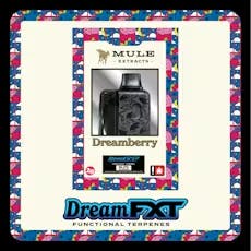 Dank Tank | Dreamberry Dream (I) FXT Disposable Distillate Vape | 2g