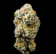Gary Payton | Flower | 3.5G